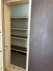 Blk 1G The Pinnacle@Duxton (Bukit Merah), HDB 4 Rooms #328302401